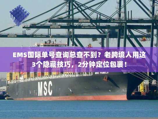EMS国际单号查询总查不到？老跨境人用这3个隐藏技巧，2分钟定位包裹！