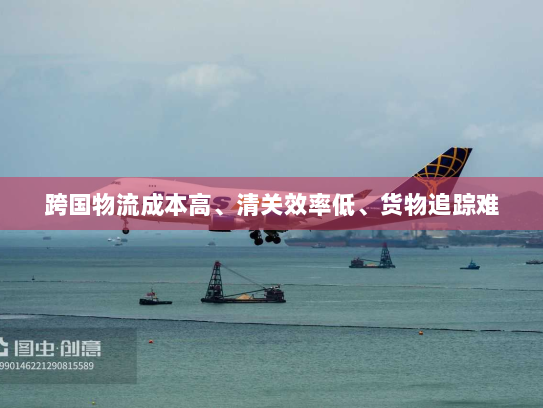 跨国物流成本高、清关效率低、货物追踪难 跨国物流成本高、清关效率低、货物追踪难