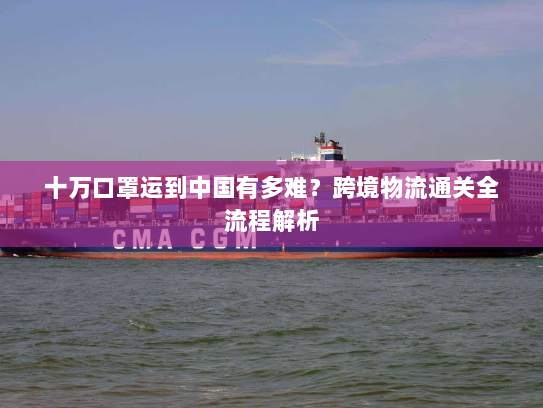 十万口罩运到中国有多难?跨境物流通关全流程解析 十万口罩运到中国有多难?跨境物流通关全流程解析