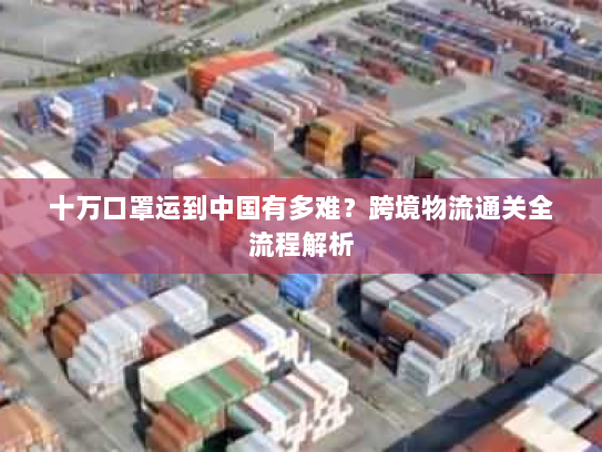 十万口罩运到中国有多难?跨境物流通关全流程解析 十万口罩运到中国有多难?跨境物流通关全流程解析