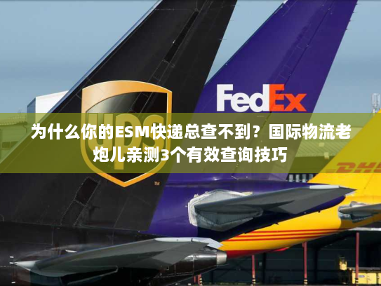 为什么你的ESM快递总查不到？国际物流老炮儿亲测3个有效查询技巧