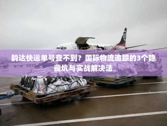 韵达快运单号查不到？国际物流追踪的3个隐藏坑与实战解决法