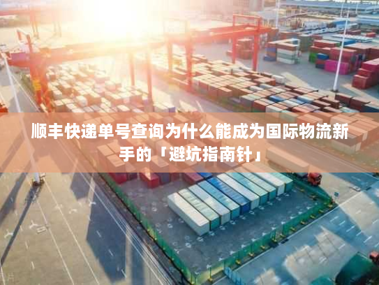顺丰快递单号查询为什么能成为国际物流新手的「避坑指南针」