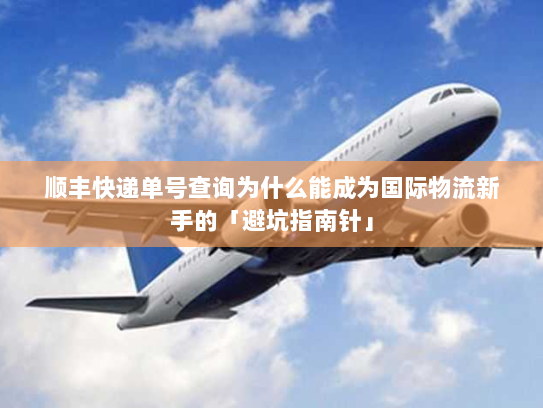 顺丰快递单号查询为什么能成为国际物流新手的「避坑指南针」