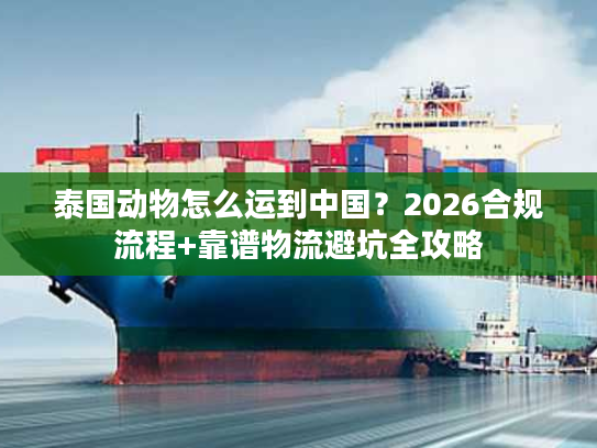 泰国动物怎么运到中国？2026合规流程+靠谱物流避坑全攻略