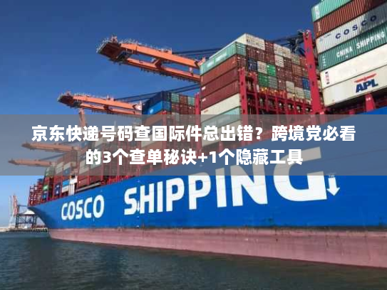 京东快递号码查国际件总出错？跨境党必看的3个查单秘诀+1个隐藏工具