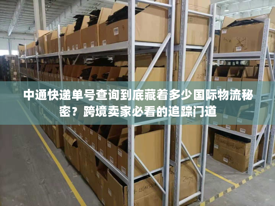 中通快递单号查询到底藏着多少国际物流秘密？跨境卖家必看的追踪门道