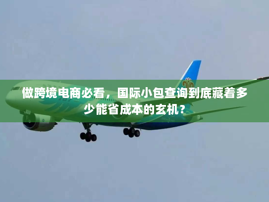 做跨境电商必看，国际小包查询到底藏着多少能省成本的玄机？
