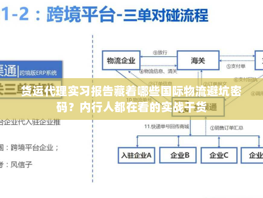 货运代理实习报告藏着哪些国际物流避坑密码？内行人都在看的实战干货