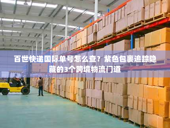 百世快递国际单号怎么查？紫色包裹追踪隐藏的3个跨境物流门道