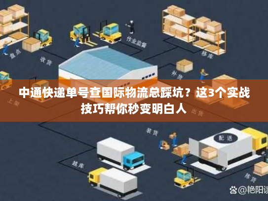 中通快递单号查国际物流总踩坑？这3个实战技巧帮你秒变明白人