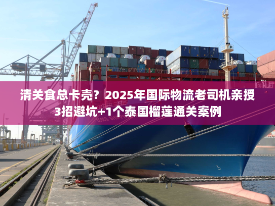 清关食总卡壳?2025年国际物流老司机亲授3招避坑+1个泰国榴莲通关案例 清关食总卡壳?2025年国际物流老司机亲授3招避坑+1个泰国榴莲通关案例