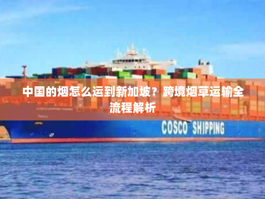 中国的烟怎么运到新加坡?跨境烟草运输全流程解析 中国的烟怎么运到新加坡?跨境烟草运输全流程解析