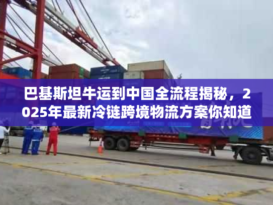 巴基斯坦牛运到中国全流程揭秘，2025年最新冷链跨境物流方案你知道吗？