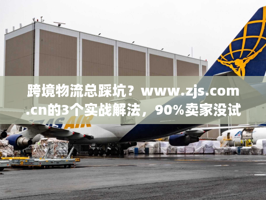 跨境物流总踩坑？www.zjs.com.cn的3个实战解法，90%卖家没试过