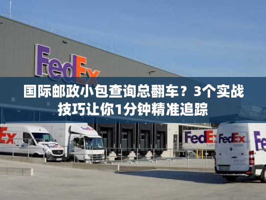 国际邮政小包查询总翻车?3个实战技巧让你1分钟精准追踪 国际邮政小包查询总翻车?3个实战技巧让你1分钟精准追踪