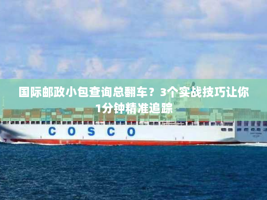 国际邮政小包查询总翻车?3个实战技巧让你1分钟精准追踪 国际邮政小包查询总翻车?3个实战技巧让你1分钟精准追踪