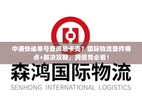 中通快递单号查询总卡壳？国际物流查件痛点+解决攻略，跨境党必看！