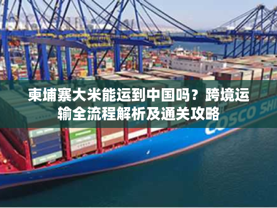 柬埔寨大米能运到中国吗？跨境运输全流程解析及通关攻略