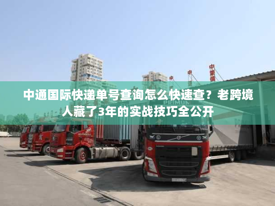 中通国际快递单号查询怎么快速查？老跨境人藏了3年的实战技巧全公开