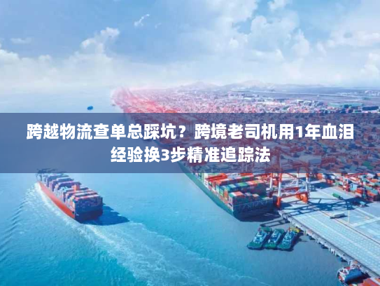 跨越物流查单总踩坑？跨境老司机用1年血泪经验换3步精准追踪法