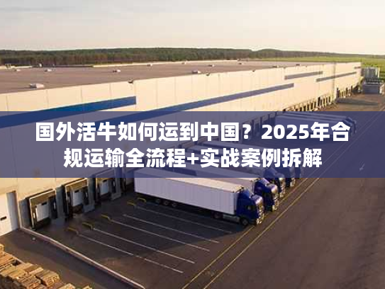 国外活牛如何运到中国？2025年合规运输全流程+实战案例拆解