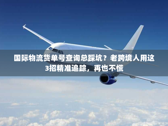 国际物流货单号查询总踩坑？老跨境人用这3招精准追踪，再也不慌