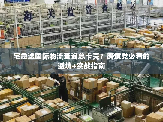 宅急送国际物流查询总卡壳？跨境党必看的避坑+实战指南