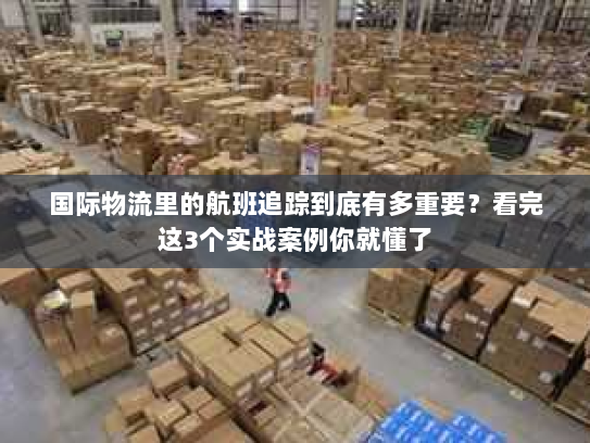 国际物流里的航班追踪到底有多重要？看完这3个实战案例你就懂了