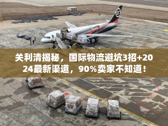 关利清揭秘，国际物流避坑3招+2024最新渠道，90%卖家不知道！