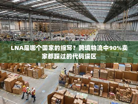 LNA是哪个国家的缩写?跨境物流中90%卖家都踩过的代码误区 LNA是哪个国家的缩写?跨境物流中90%卖家都踩过的代码误区