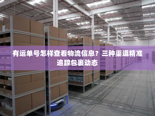 有运单号怎样查看物流信息?三种渠道精准追踪包裹动态 有运单号怎样查看物流信息?三种渠道精准追踪包裹动态
