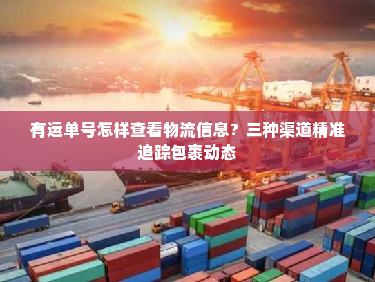 有运单号怎样查看物流信息?三种渠道精准追踪包裹动态 有运单号怎样查看物流信息?三种渠道精准追踪包裹动态