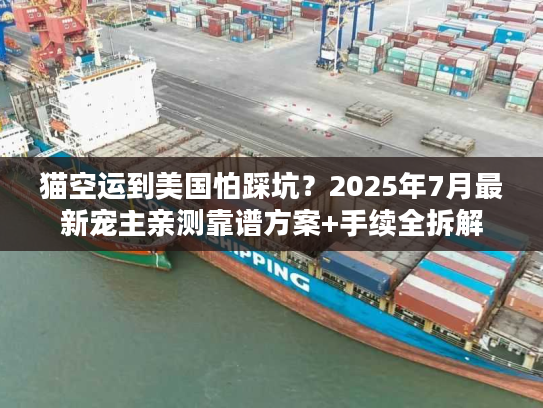 猫空运到美国怕踩坑？2025年7月最新宠主亲测靠谱方案+手续全拆解