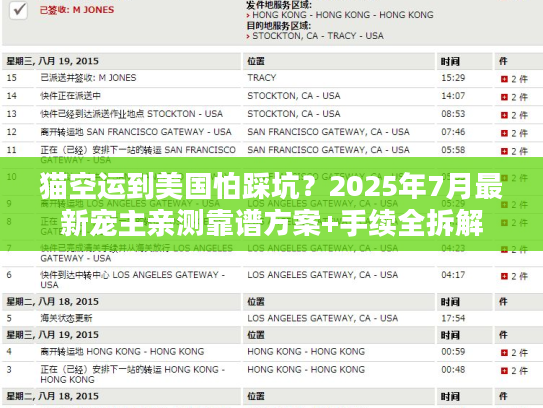 猫空运到美国怕踩坑？2025年7月最新宠主亲测靠谱方案+手续全拆解