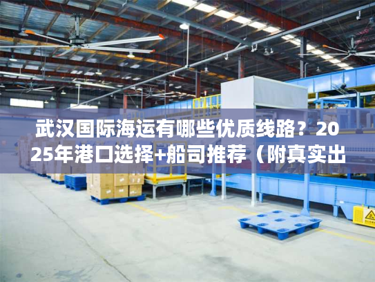 武汉国际海运有哪些优质线路？2025年港口选择+船司推荐（附真实出货案例）