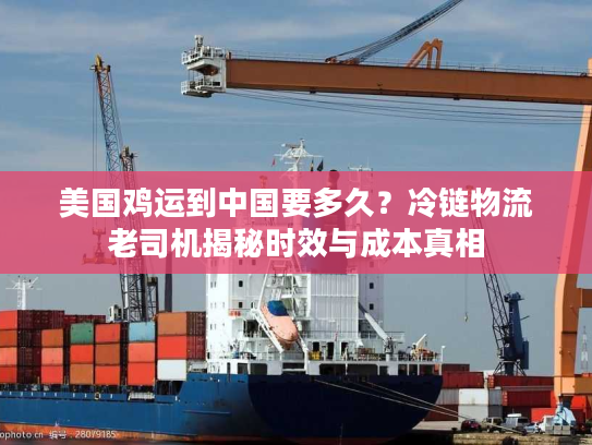 美国鸡运到中国要多久？冷链物流老司机揭秘时效与成本真相