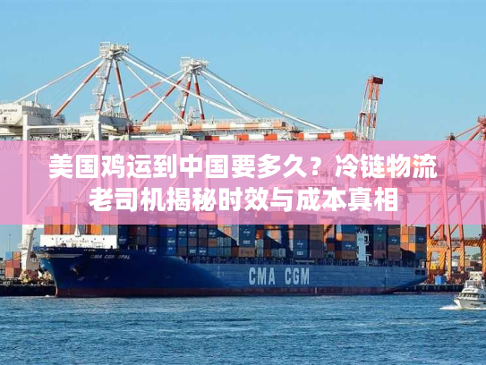 美国鸡运到中国要多久？冷链物流老司机揭秘时效与成本真相