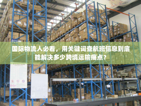 国际物流人必看，用关键词查航班信息到底能解决多少跨境运输痛点？