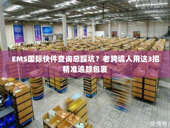 EMS国际快件查询总踩坑?老跨境人用这3招精准追踪包裹 EMS国际快件查询总踩坑?老跨境人用这3招精准追踪包裹