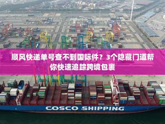 顺风快递单号查不到国际件？3个隐藏门道帮你快速追踪跨境包裹