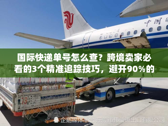 国际快递单号怎么查？跨境卖家必看的3个精准追踪技巧，避开90%的物流坑