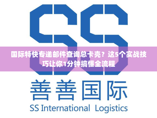 国际特快专递邮件查询总卡壳？这5个实战技巧让你1分钟搞懂全流程