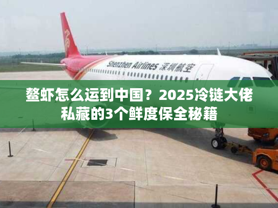 鳌虾怎么运到中国？2025冷链大佬私藏的3个鲜度保全秘籍