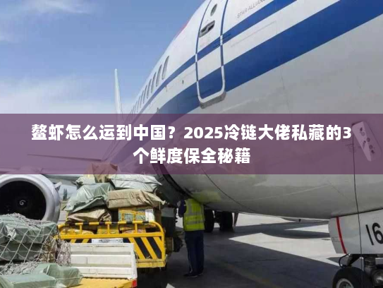 鳌虾怎么运到中国?2025冷链大佬私藏的3个鲜度保全秘籍 鳌虾怎么运到中国?2025冷链大佬私藏的3个鲜度保全秘籍