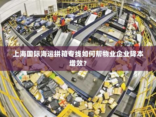 上海国际海运拼箱专线如何帮物业企业降本增效？