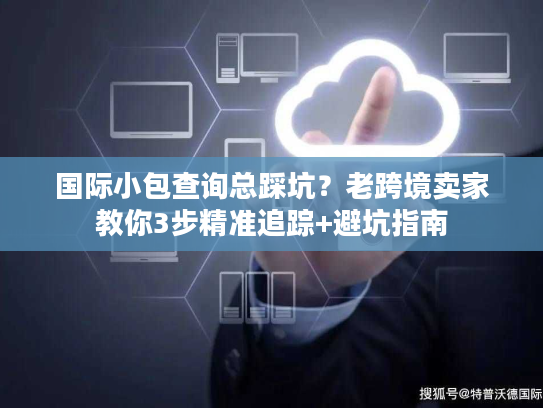 国际小包查询总踩坑？老跨境卖家教你3步精准追踪+避坑指南