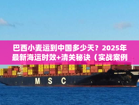 巴西小麦运到中国多少天？2025年最新海运时效+清关秘诀（实战案例揭秘）