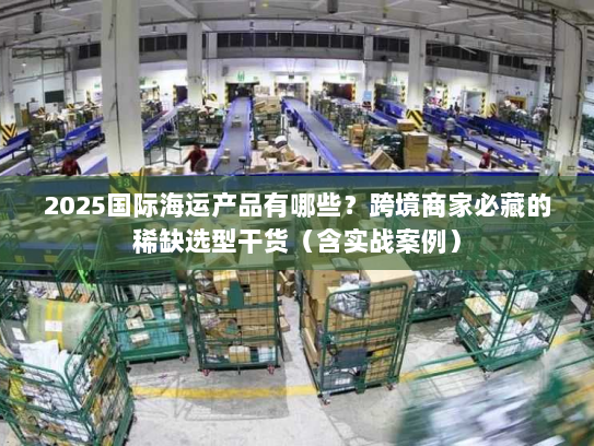 2025国际海运产品有哪些？跨境商家必藏的稀缺选型干货（含实战案例）
