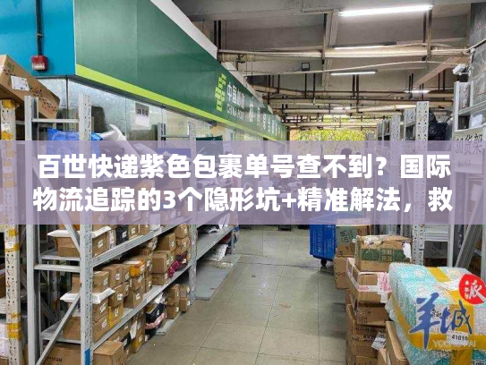 百世快递紫色包裹单号查不到？国际物流追踪的3个隐形坑+精准解法，救了我的跨境订单
